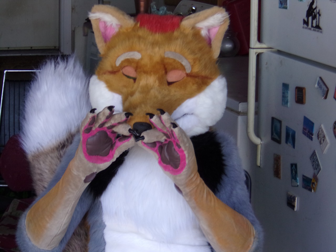 tibetan fox plush