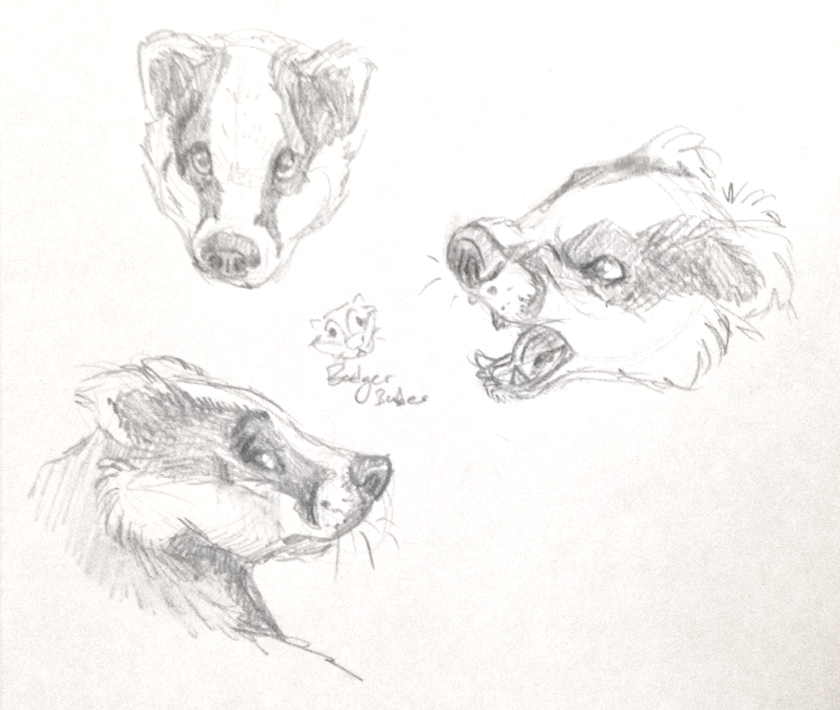 Pencil Commission American Badger Drawing  Pet Portraits Family and  Wedding Portraits in Pencil from Artistry by Lisa Marie
