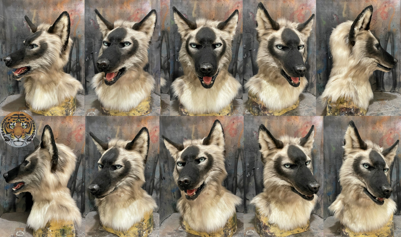 Crissdragon Siamese cat wolf by crystumes -- Fur Affinity [dot] net