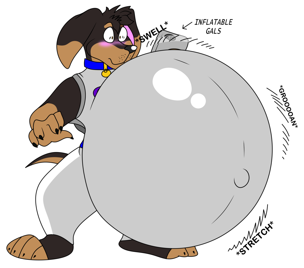 Dachgum belly inflation by dachshunddestroyer -- Fur Affinity [dot] net