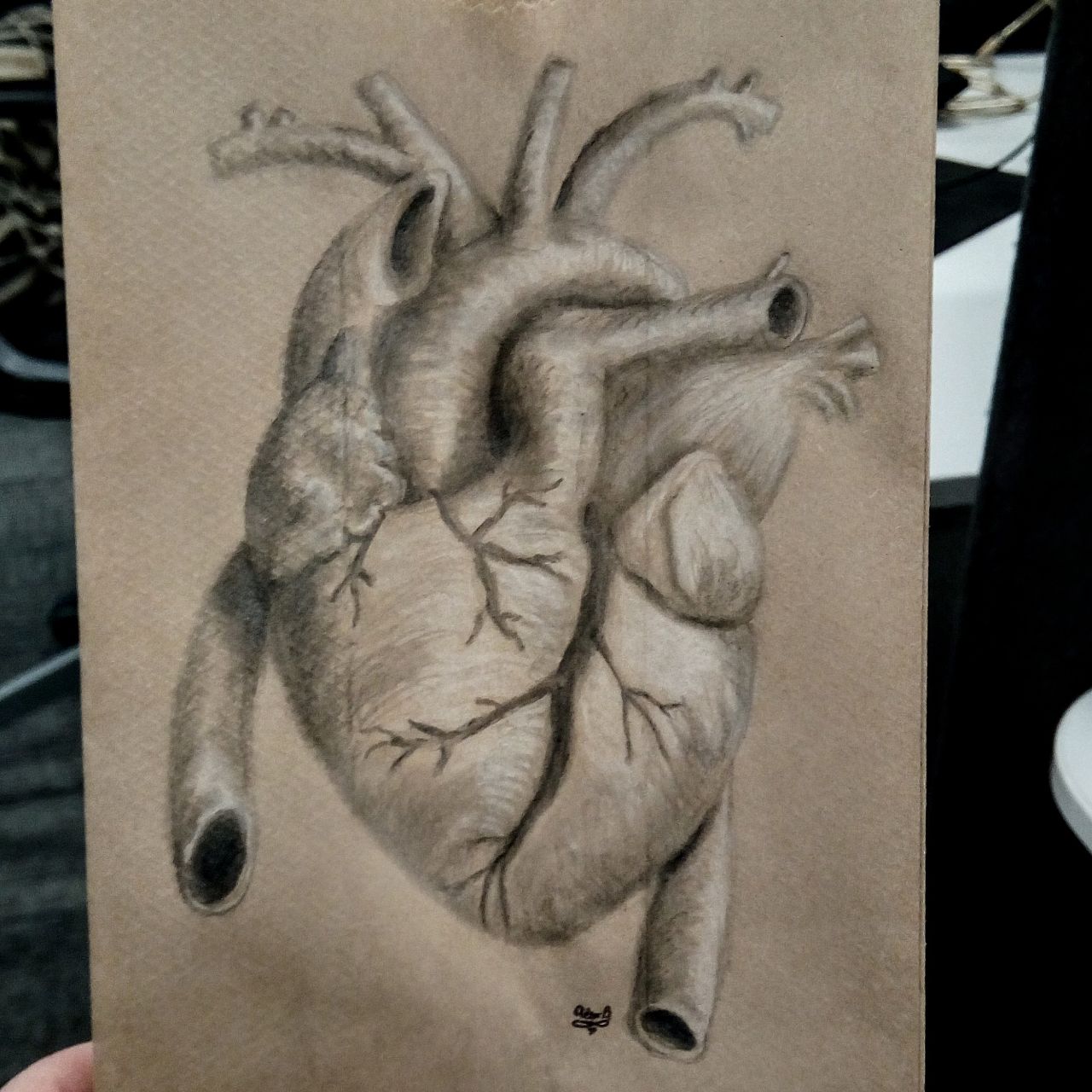 Detailed illustration of a healthy human heart on Craiyon