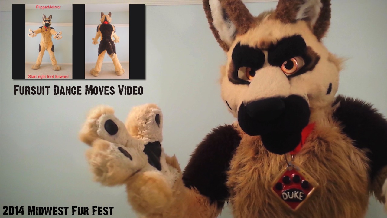 Fursuit Videos