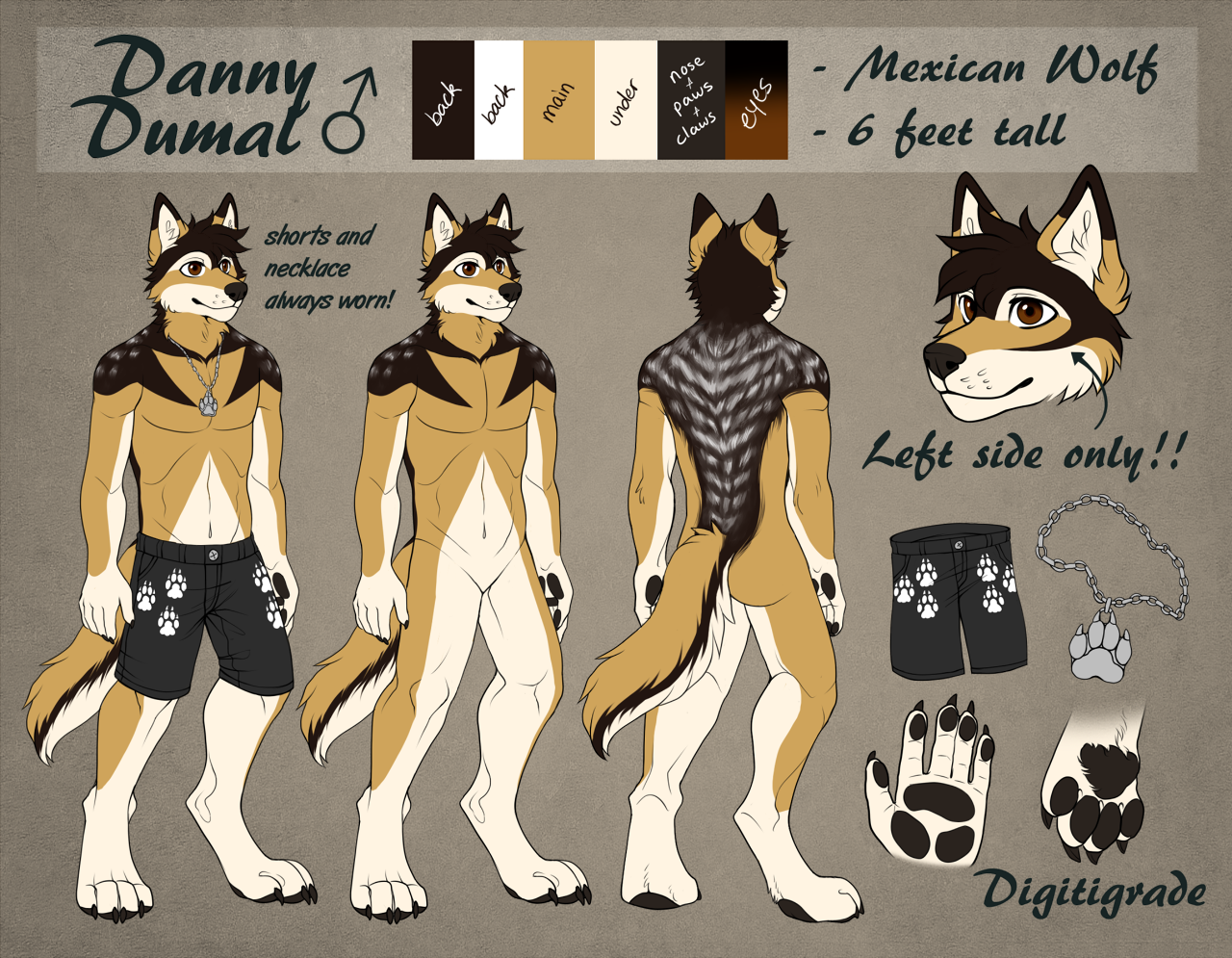 For reference only, not my art by silvermoondragon -- Fur Affinity [dot] net