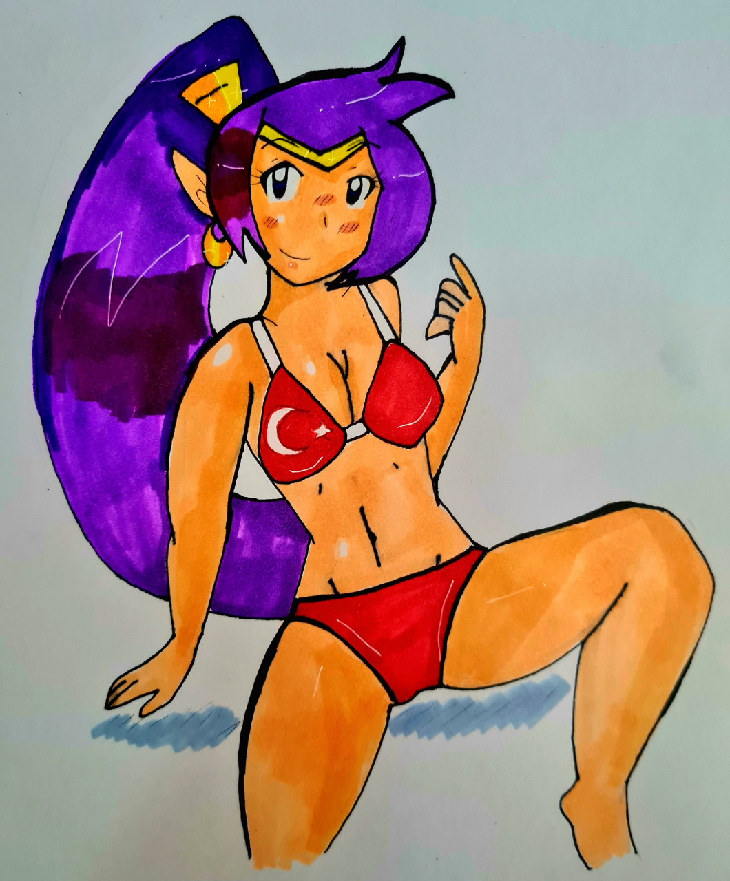 Shantae in Bikini (Turkish Flag) by DariaDoodlesA -- Fur Affinity [dot] net