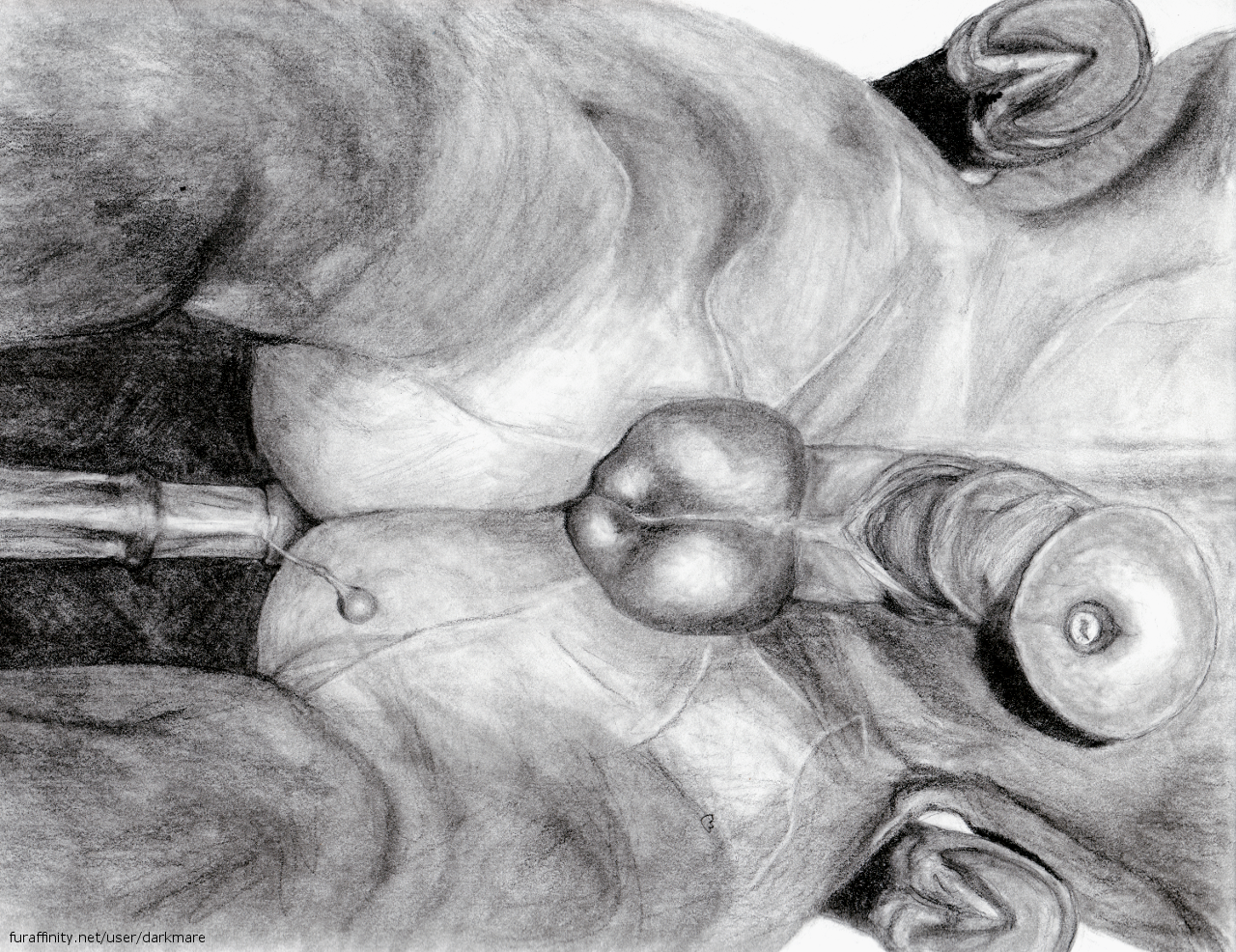 голые мужчины рисунок карандашом фото 106