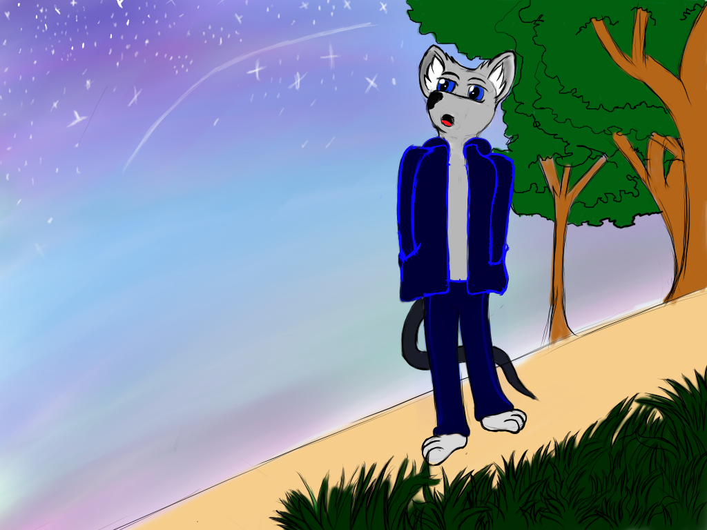 staring-at-the-sky-upon-the-stroll-by-darthfogg158-fur-affinity