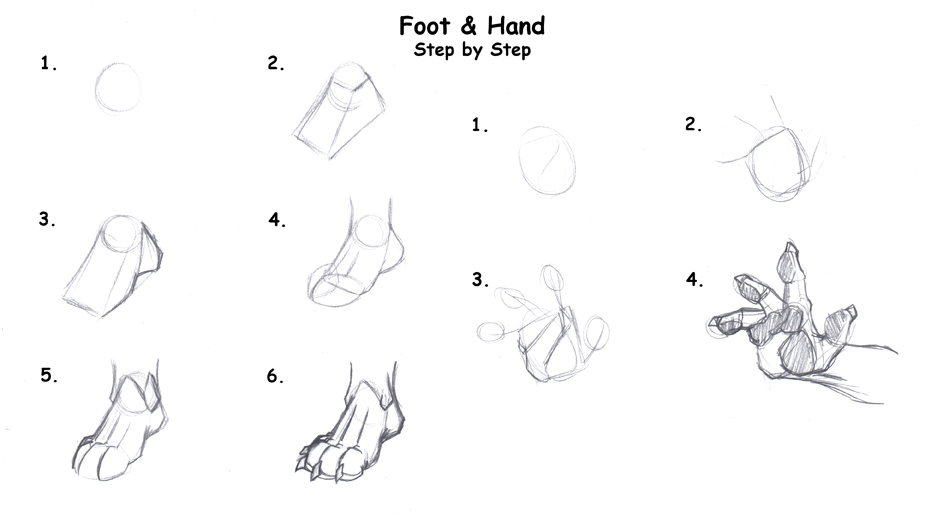 How to Draw Hands and Feet