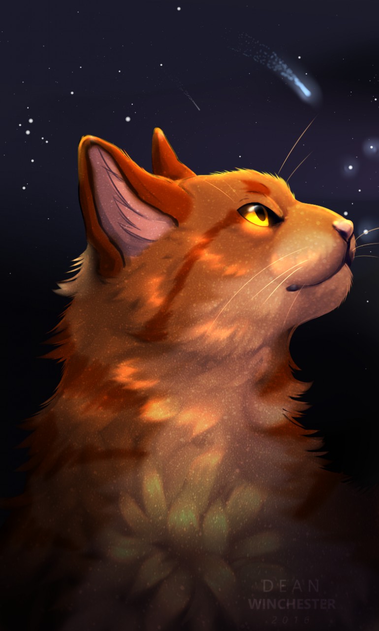 Oakheart [Warrior - Cats] by ~Akatsu -- Fur Affinity [dot] net