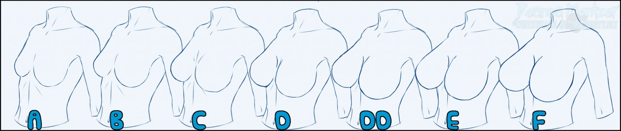 Breast Size Guide by Deazea -- Fur Affinity [dot] net
