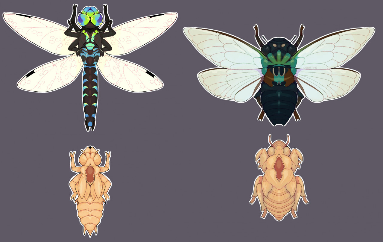 Insect charms