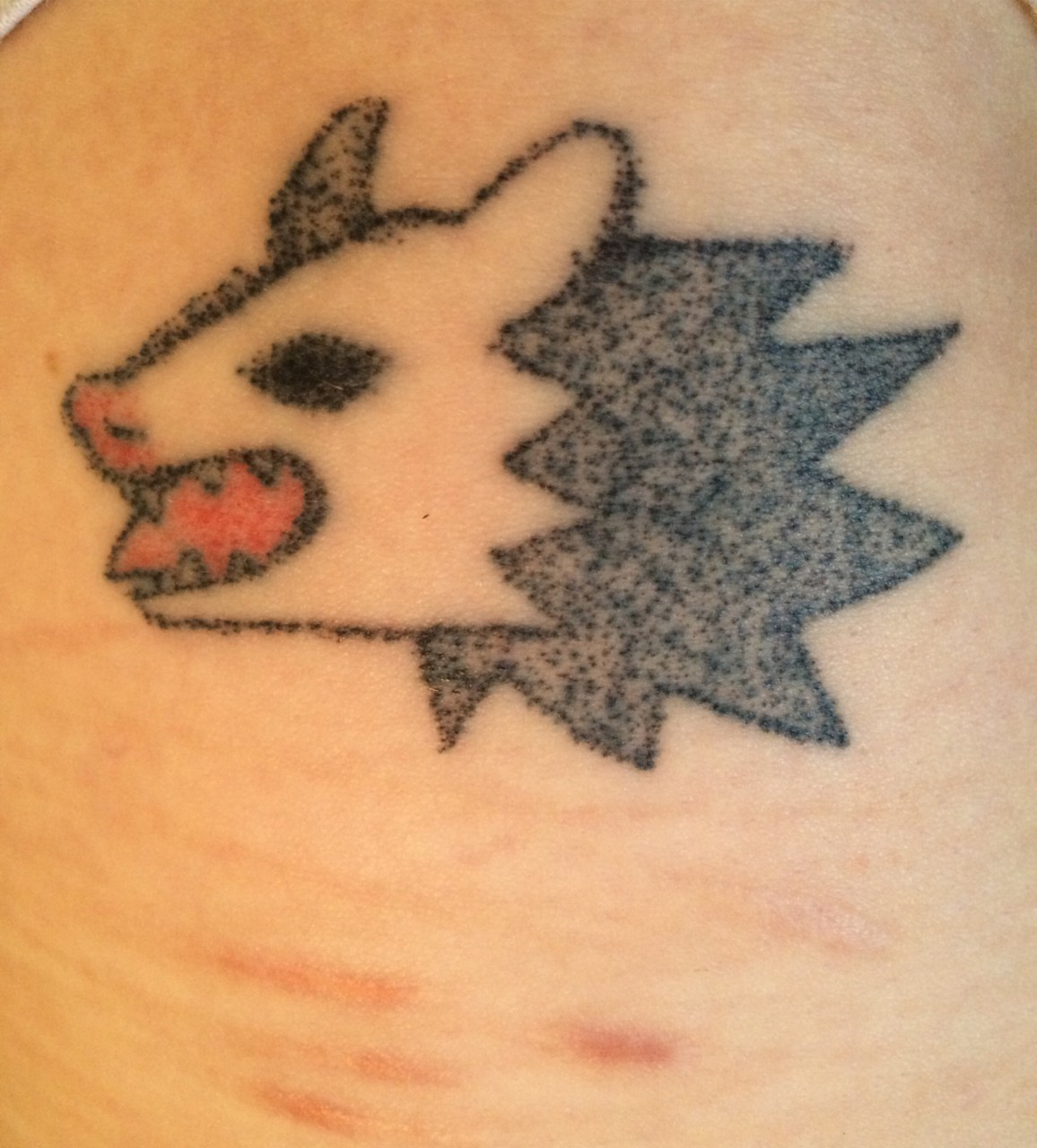 Possum Tattoo on Arm | TikTok