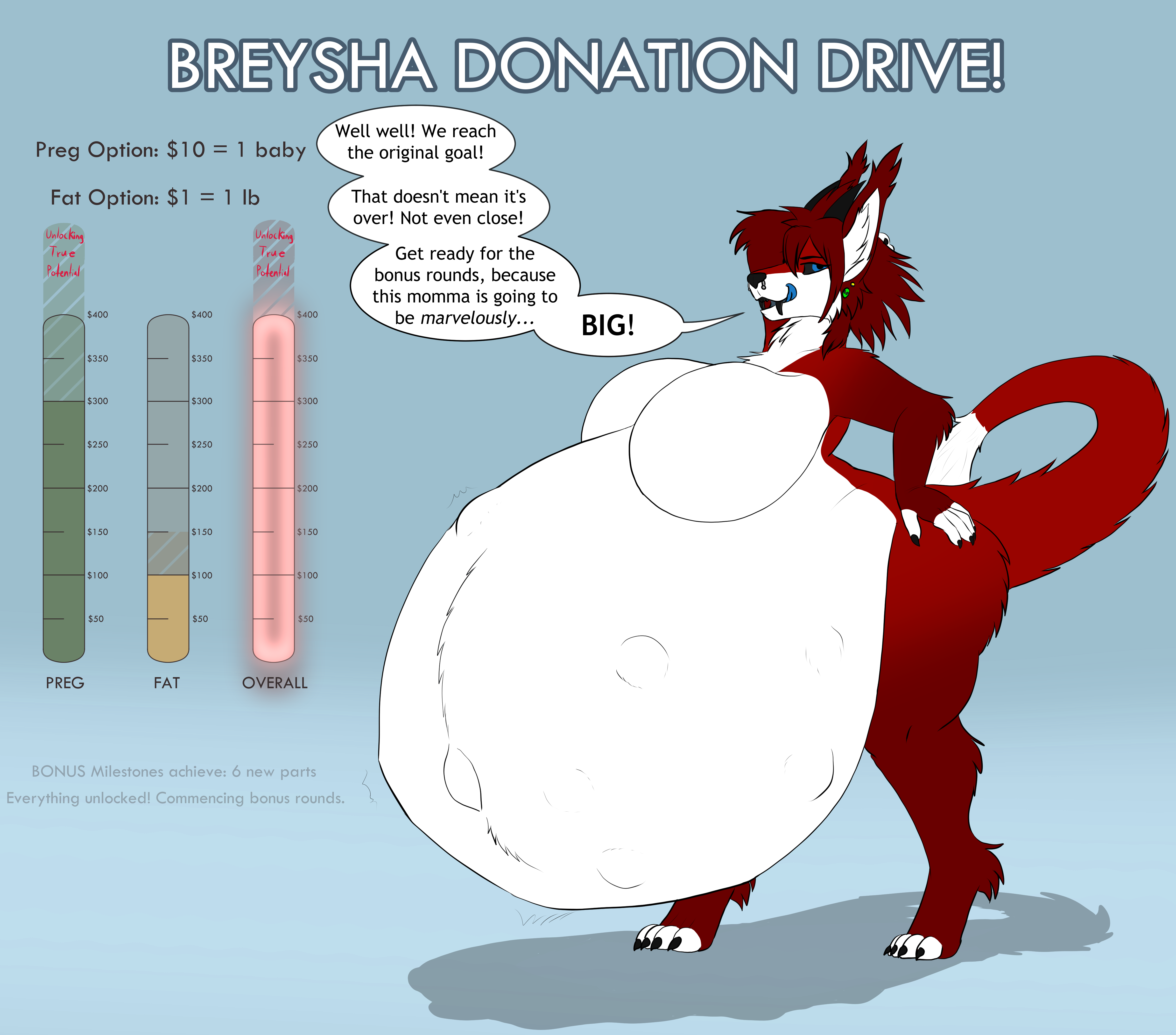 Breysha Donation Drive part 4