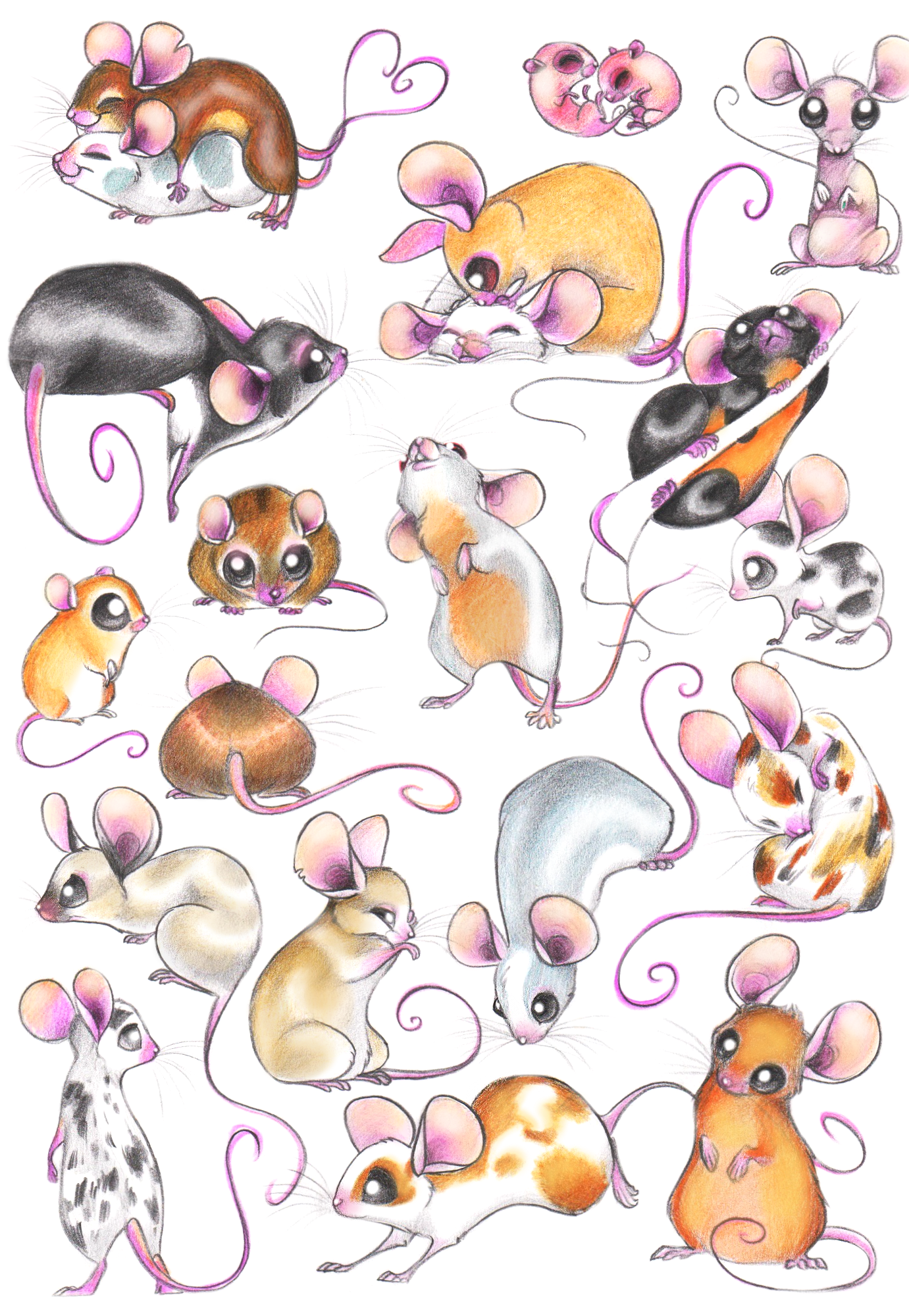 Mice