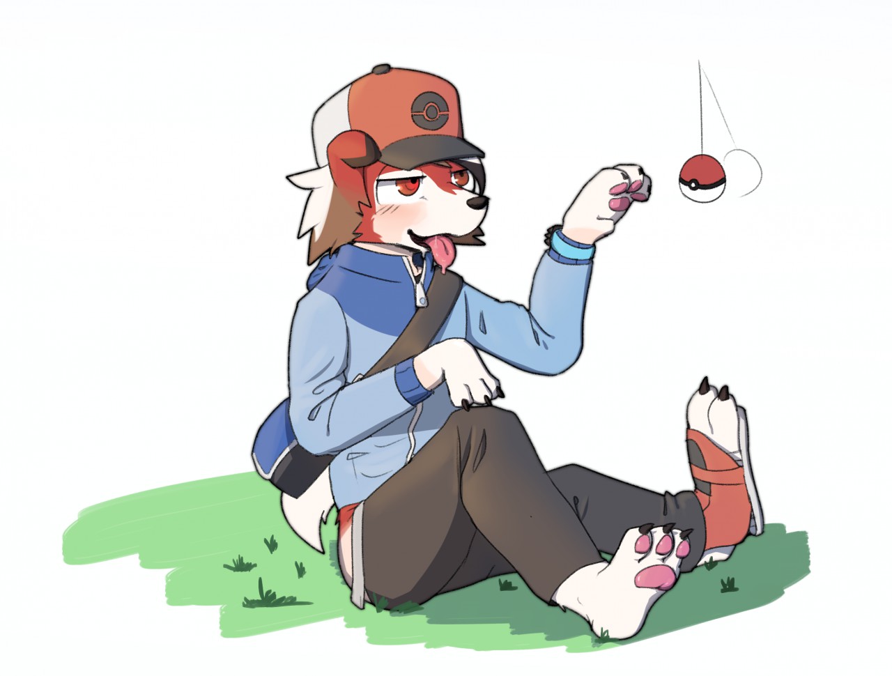 Lycanroc tf