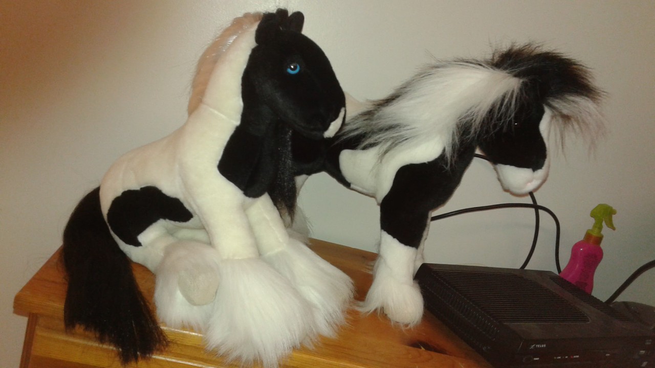 gypsy vanner stuffed animal