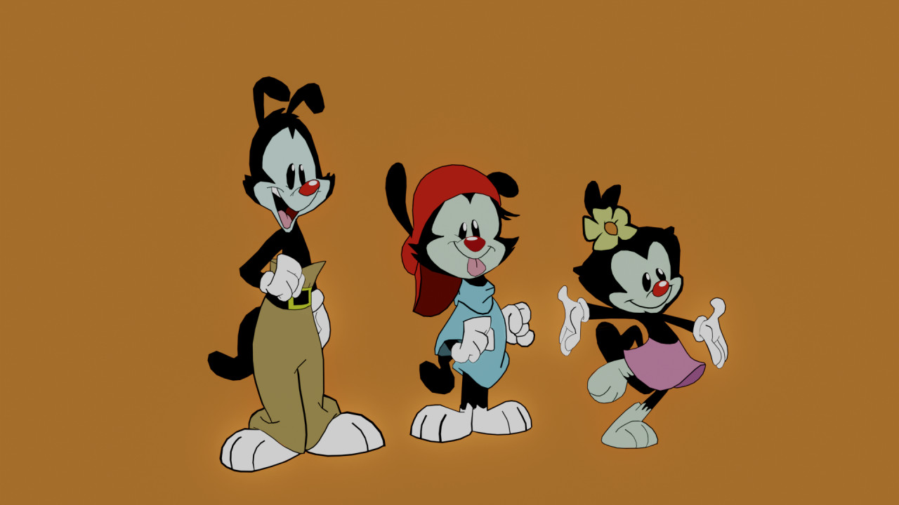 animaniacs wakko wallpaper