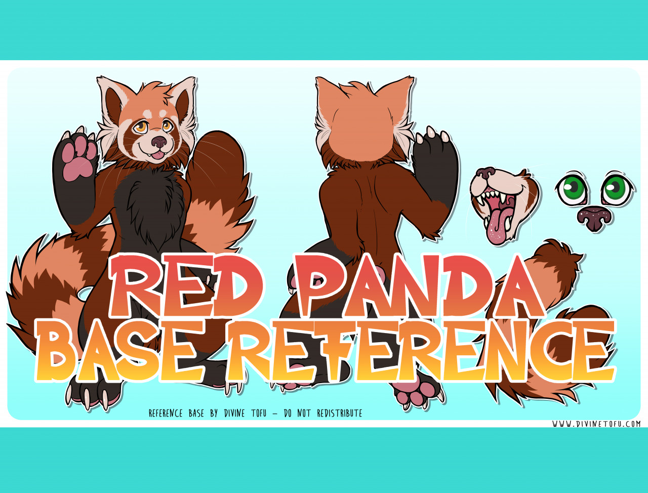 Red Panda Reference Sheet by Divinetofu Affinity net