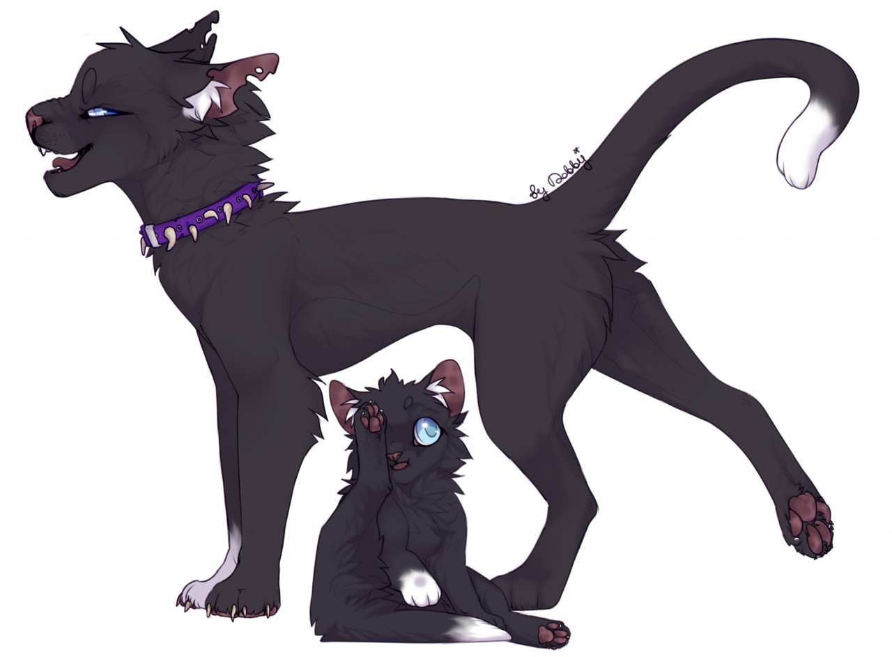 Featured image of post Scourge Warrior Cats Fan Art