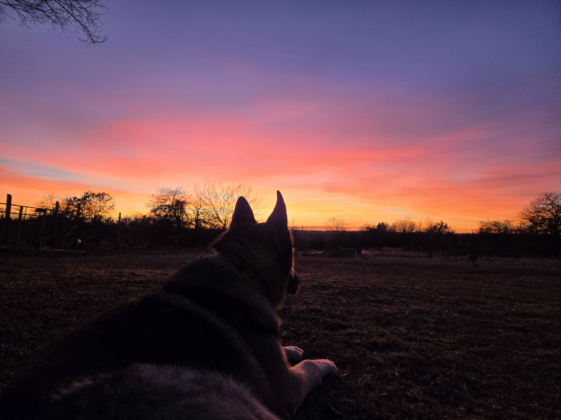 Greeting the evening.