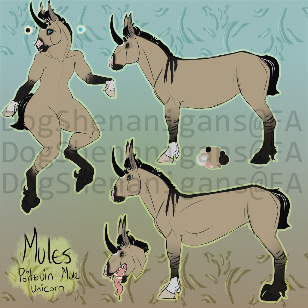 R] Mules the Poitevin Mule Unicorn by DogShenanigans -- Fur Affinity [dot]  net