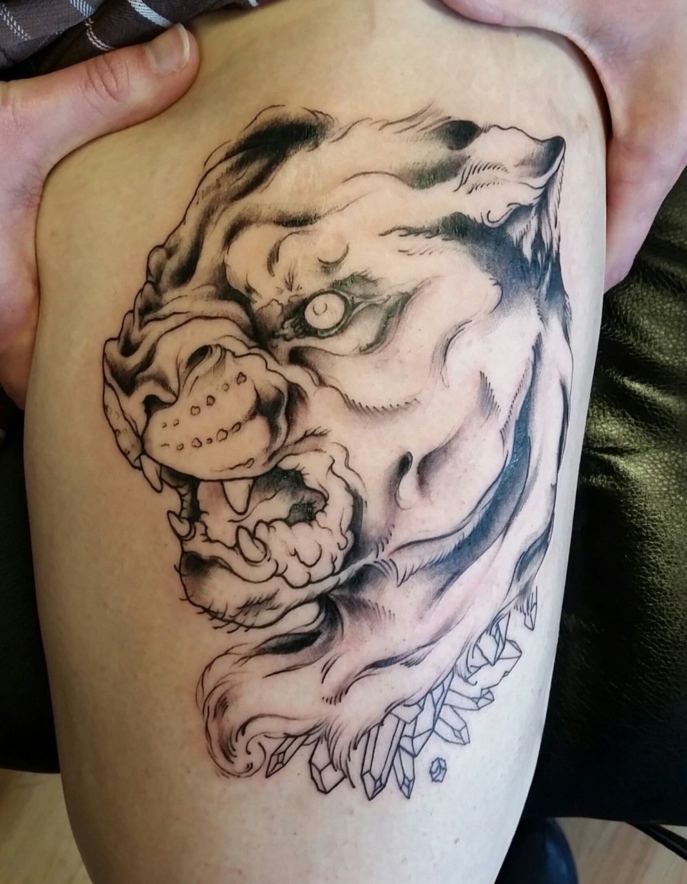 Lion And Son Sketch Tattoo Stock Photo, Picture and Royalty Free Image.  Image 160116522.