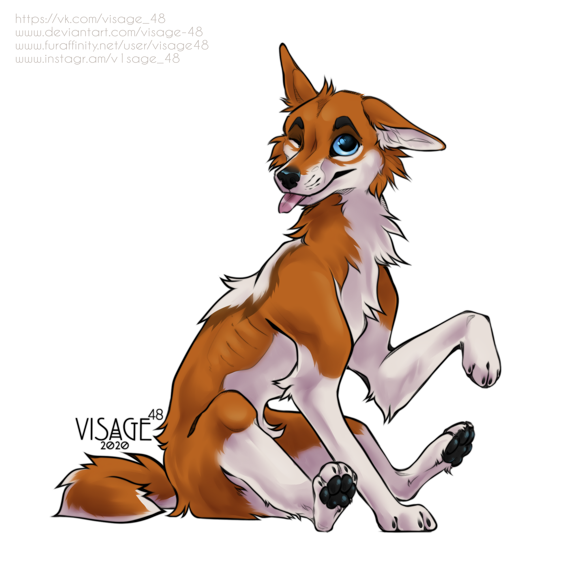 Sitting Pretty For The Camera! - Transp. BG (Gift Art)