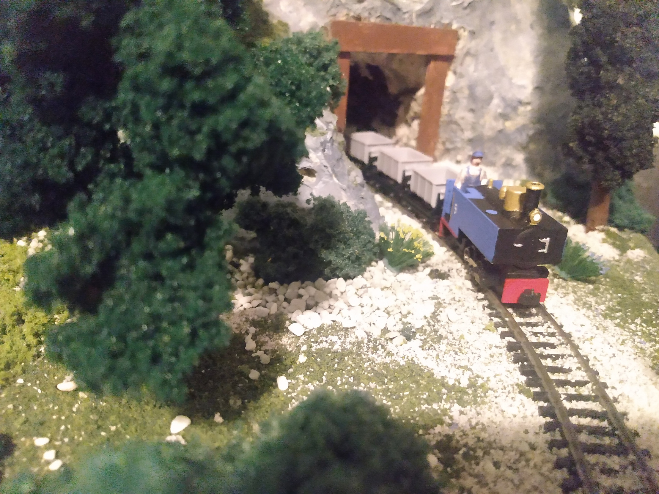 The Mine Train