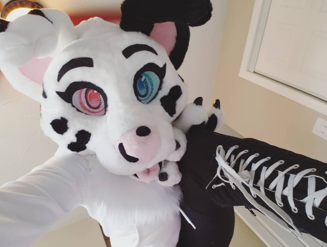 🔳 Polka Dot Fursuit 🔳