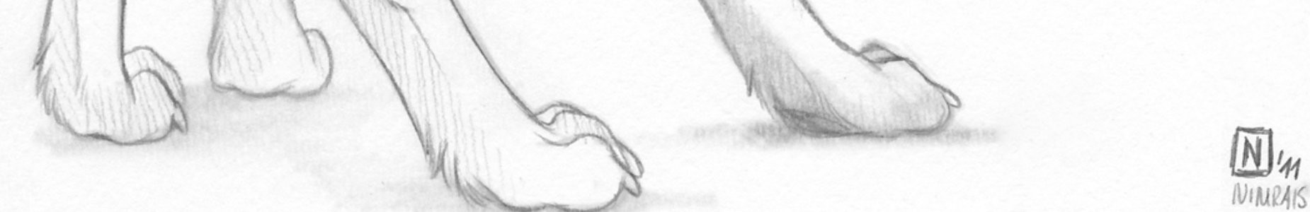 Profile Banner image