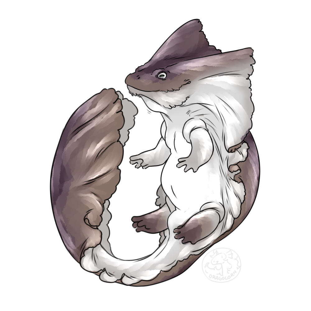 Diplocaulus - sticker