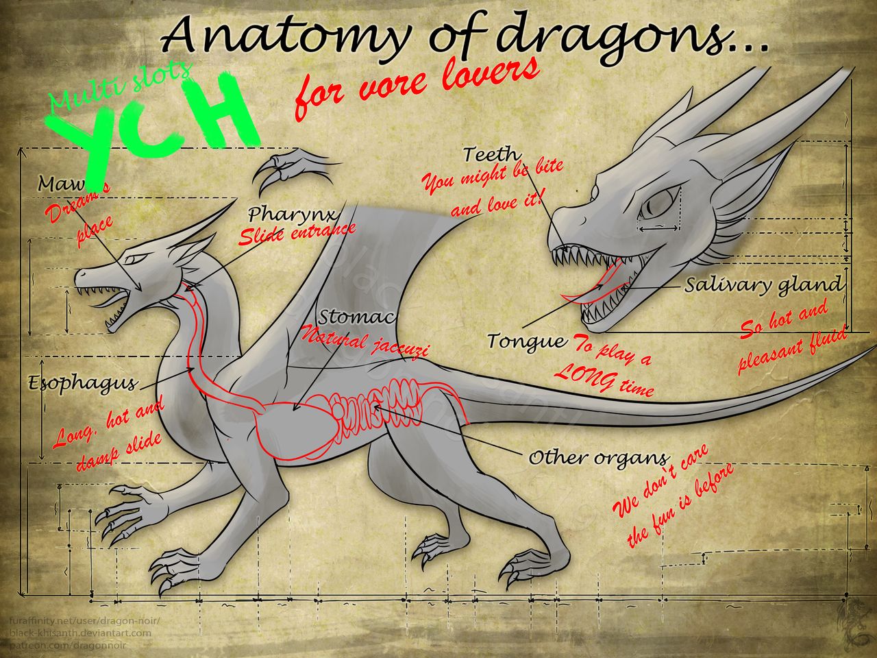 Ych Anatomy Of Dragons Open By Dragon Noir Fur Affinity Dot Net