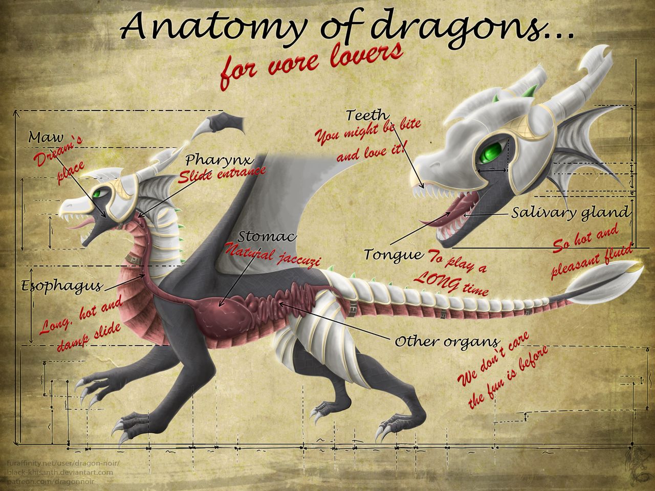Anatomy Of Dragons For Storm By Dragon Noir Fur Affinity Dot Net
