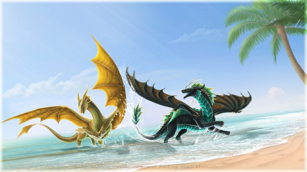 Black Dragon at Beach