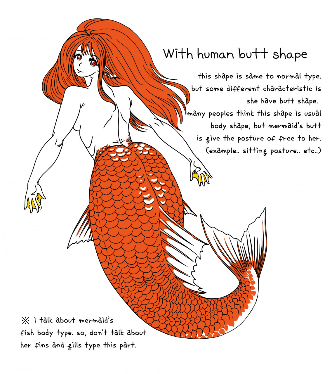 Mermaid's lower body type - With butt shape-1 by dragonflynetman