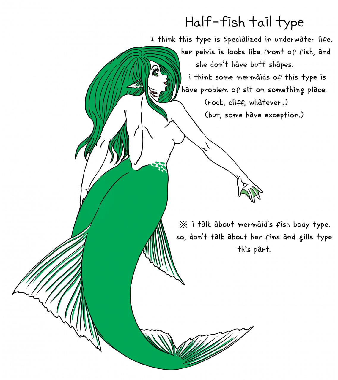 Mermaid's lower body type - Half-fish tail type by dragonflynetman
