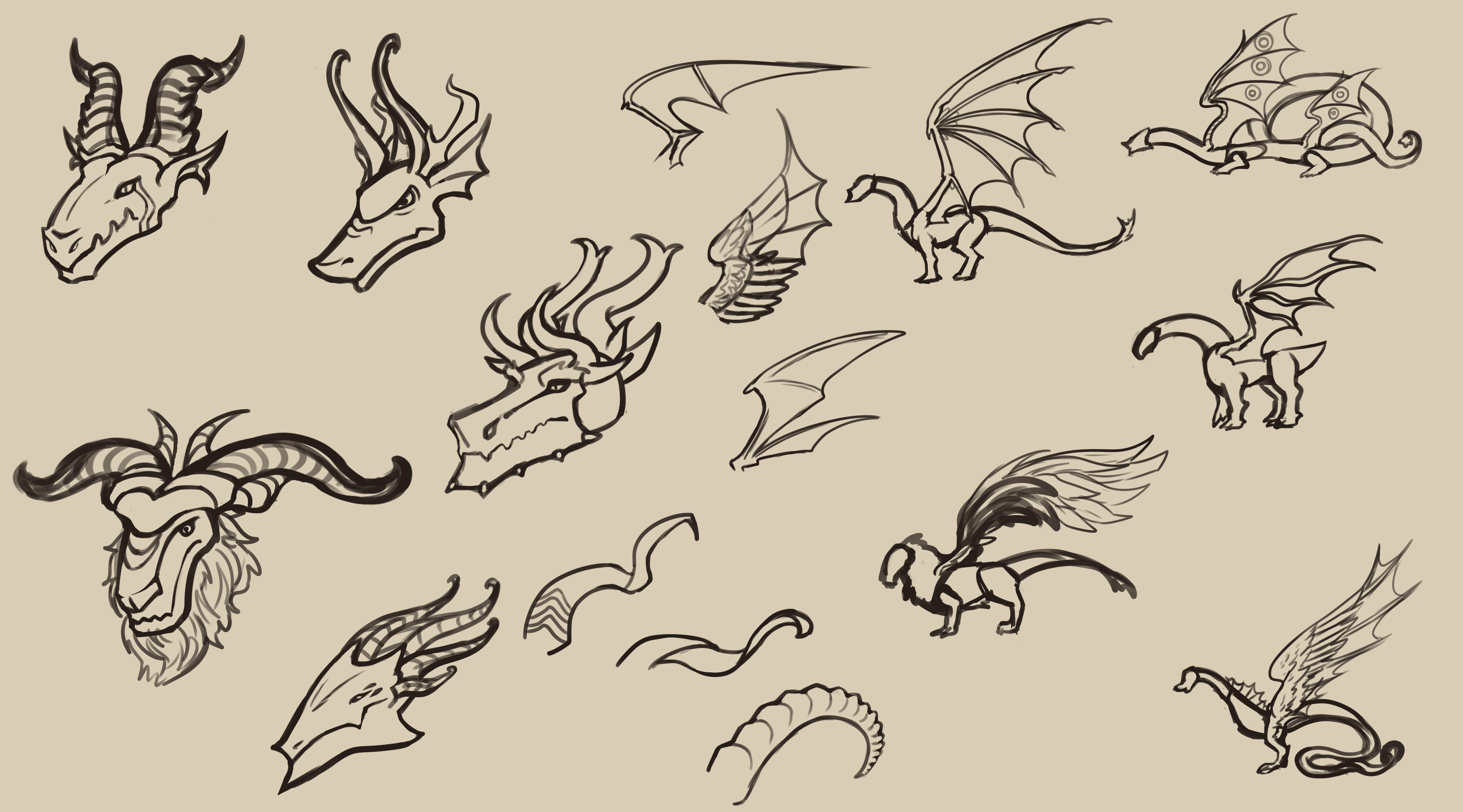 Concept Sketches: Dragons. by Dragonsushi -- Fur Affinity [dot] net