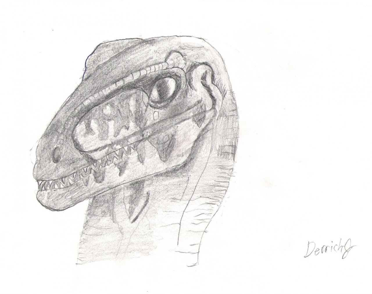 raptor dinosaur head drawing