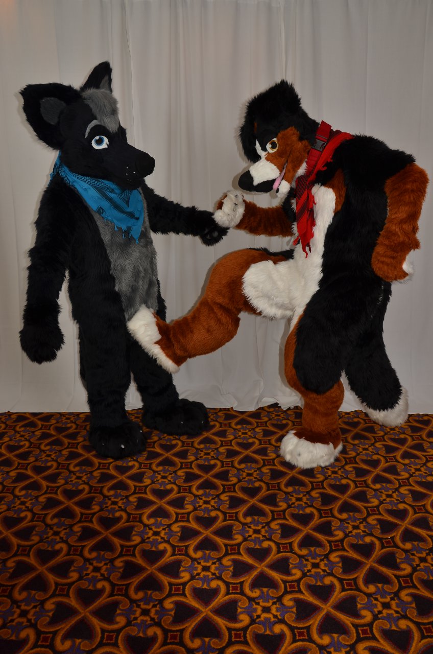 Fursuit pawjob