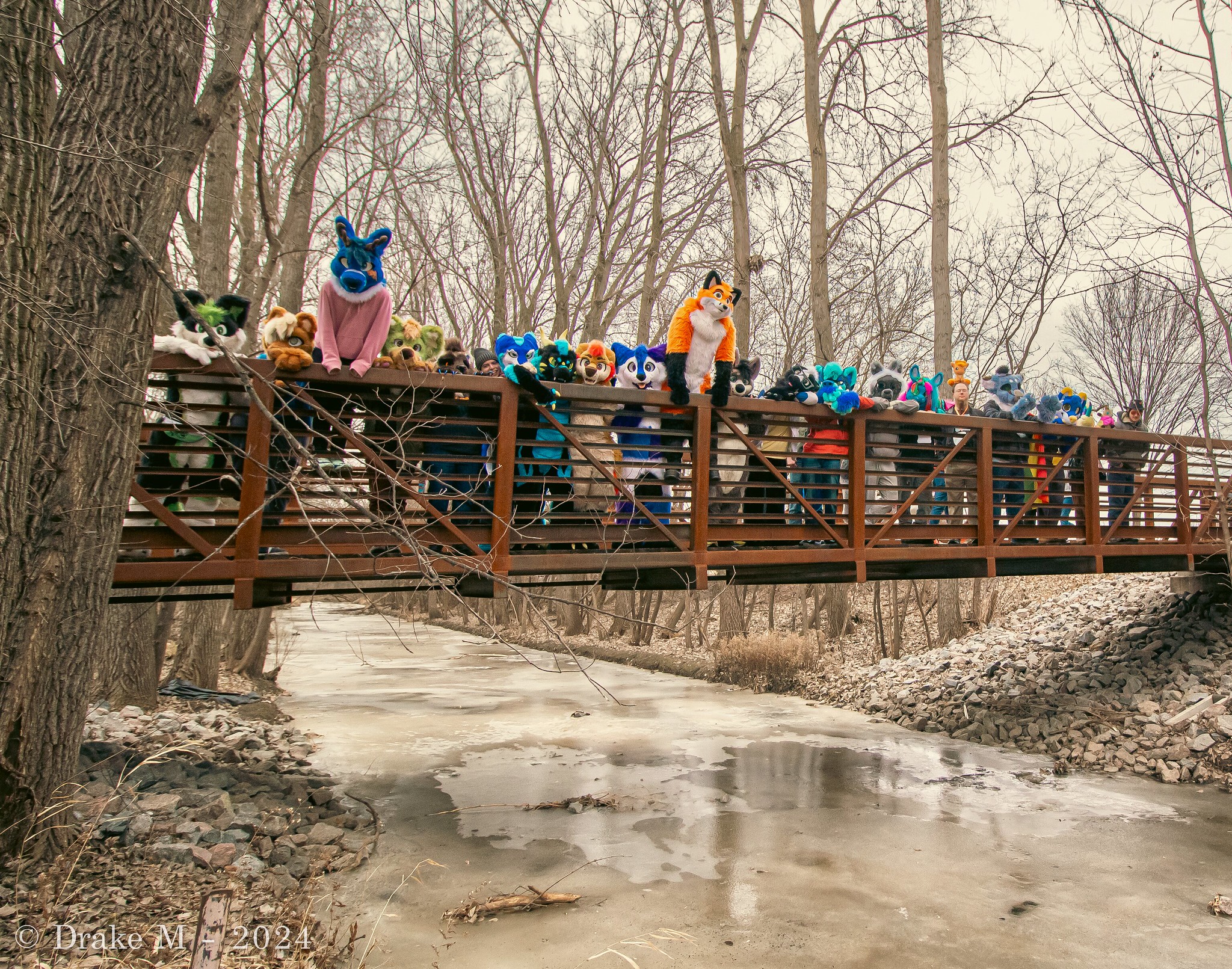 MNFurs 2024 Mid-February Community Fur Romp (Single Pic)