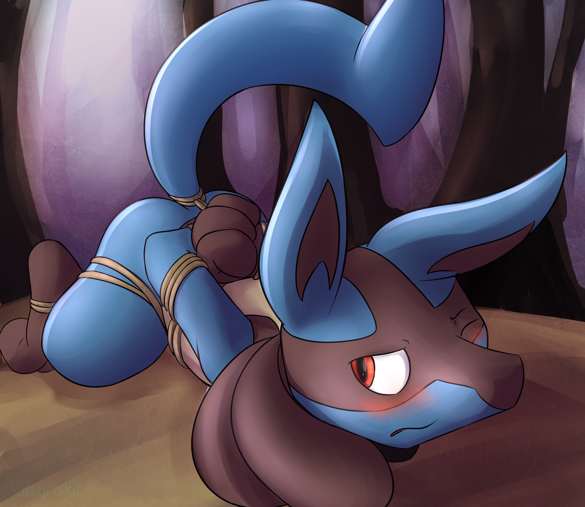 A Captured Lucario Appeared. 