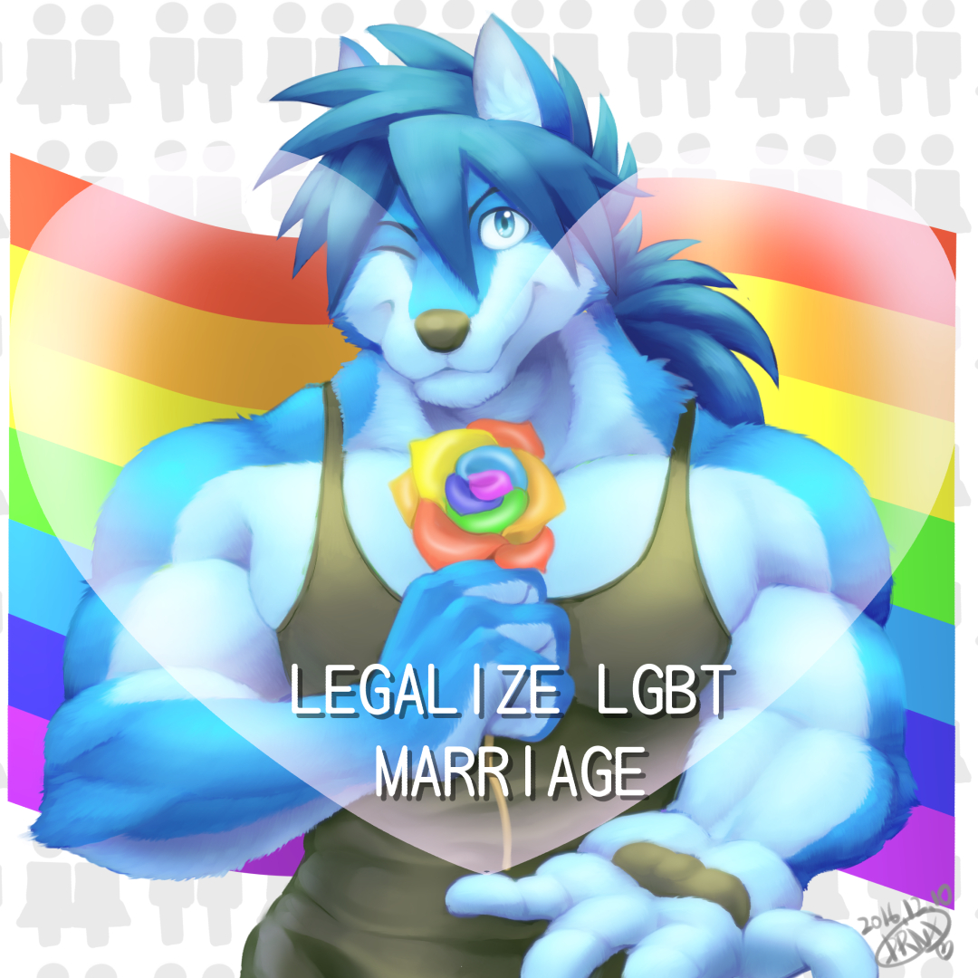 LEGALIZE LGBT MARRIAGE by DRNX -- Fur Affinity [dot] net