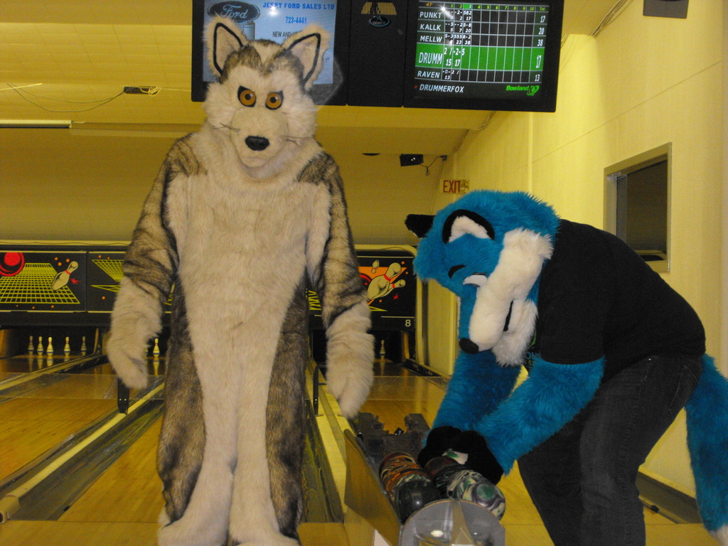 Furry Bowling in Edson by drummerfox -- Fur Affinity [dot] net