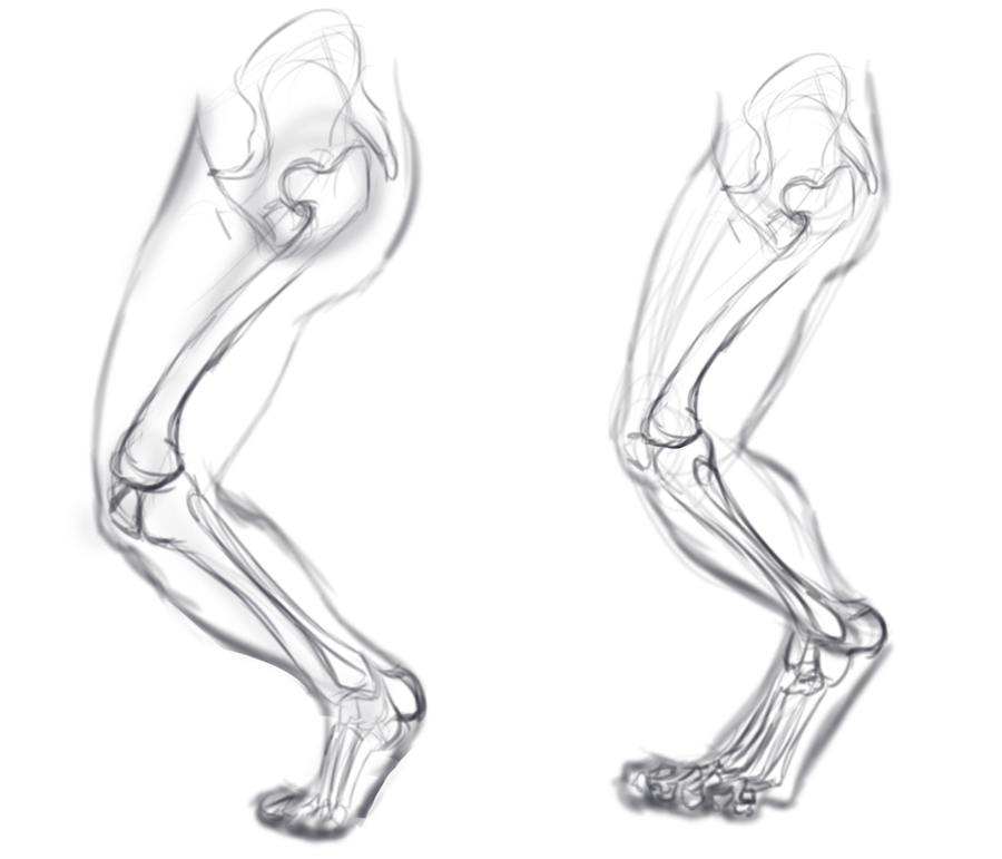 human leg sketch