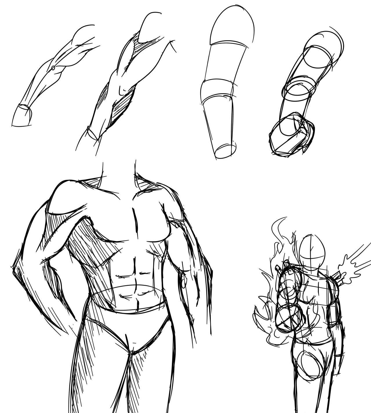 Random Doodles #11 - Male Anatomy (Arms and Chest) by EccentricChimera --  Fur Affinity [dot] net