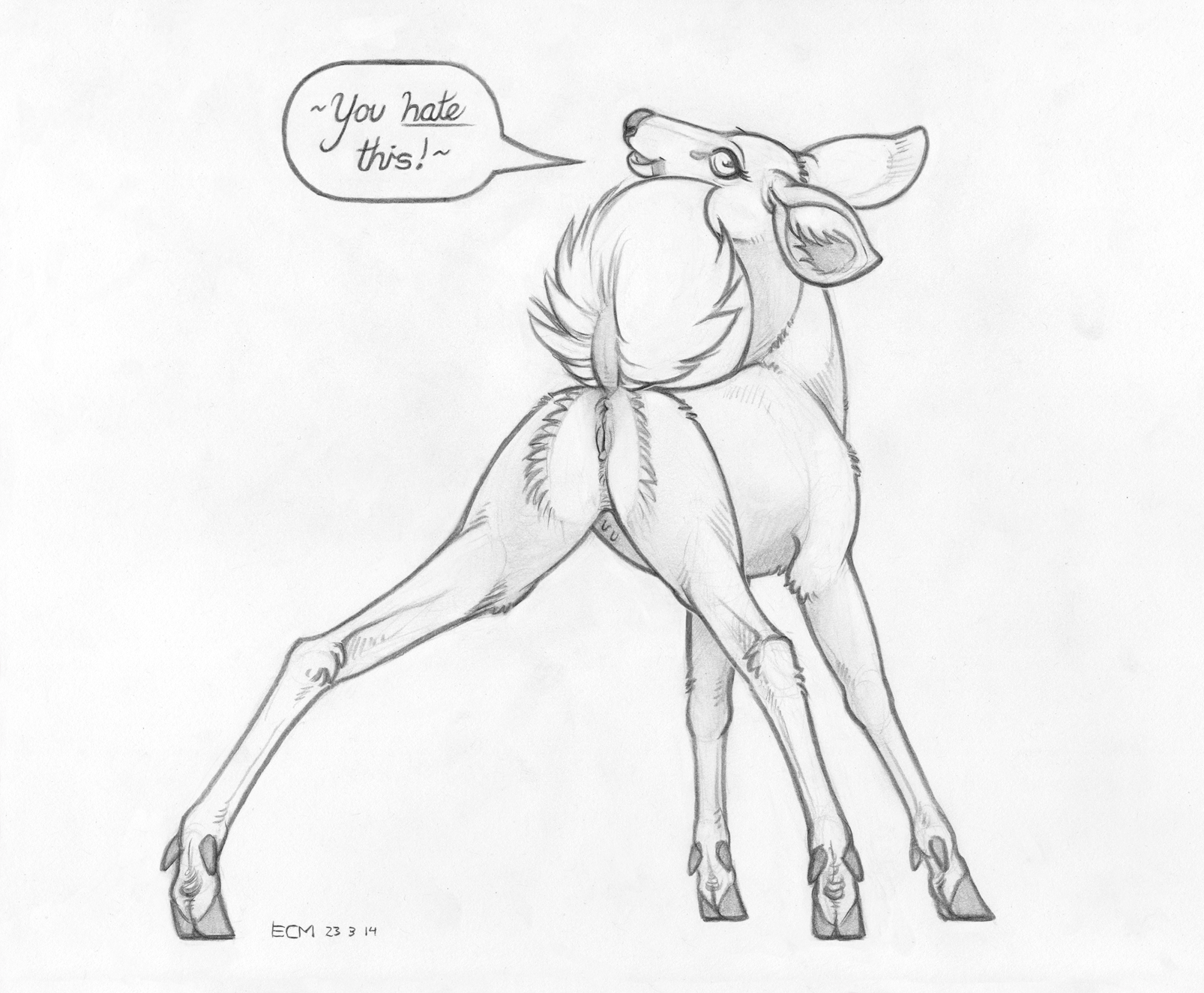 Rule 34 2023 Anus Cervid Cervine Cervine Pussy Cloven Hooves Deer