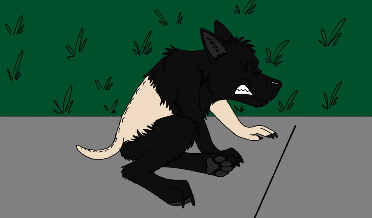 wolf TF 1. Click to change the View. 