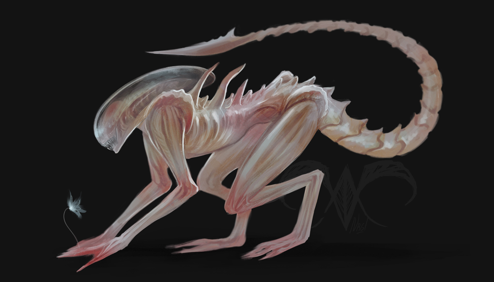 Albino xenomorph best sale