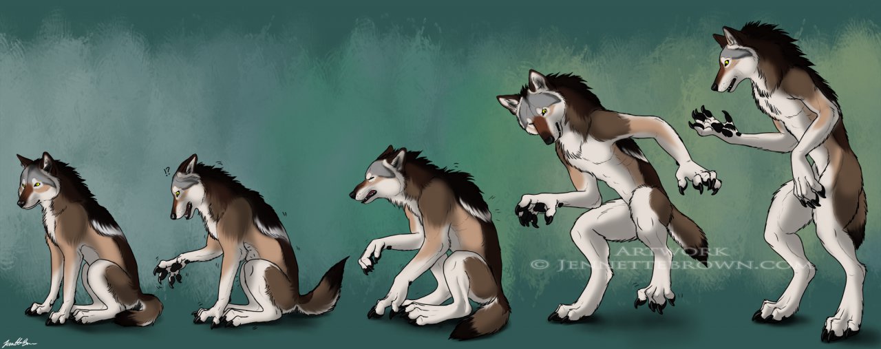 Wolf to Werewolf TF by Sugarpoultry. 