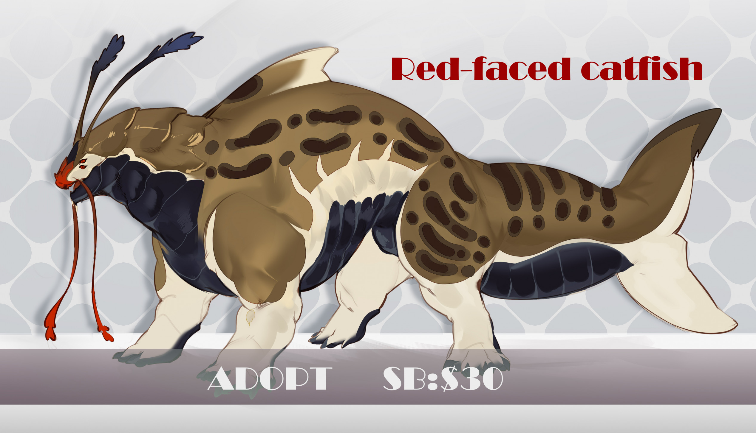 RED FACED CATFISH adopt (closed!)