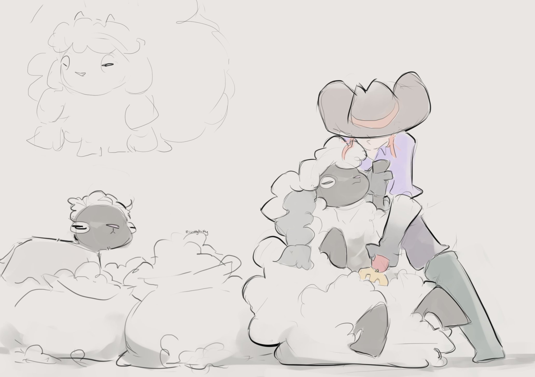 Wooloo shearing